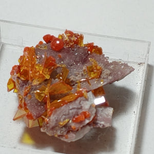 Wulfenite and Mimetite from Rowley Mine, Arizona. 2.2 cm #4057