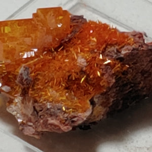 Wulfenite and Mimetite from Rowley Mine, Arizona. 2.6 cm #4058