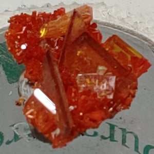 Wulfenite and Mimetite from Rowley Mine, Arizona. 2.1 cm #4060