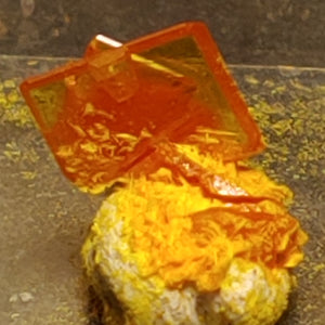 Wulfenite and Mimetite from Rowley Mine, Arizona. 1.2 cm #4066