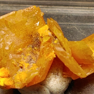 Wulfenite and Mimetite from Rowley Mine, Arizona. 1.7 cm #4070