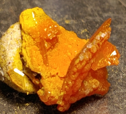 Wulfenite and Mimetite from Rowley Mine, Arizona. 1.1 cm #4074