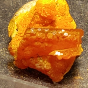 Wulfenite and Mimetite from Rowley Mine, Arizona. 1.1 cm #4074