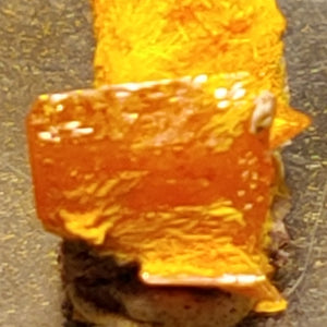 Wulfenite and Mimetite from Rowley Mine, Arizona. 1.1 cm #4075