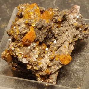 Wulfenite from Red Cloud Mine, Arizona.  3 cm #5235