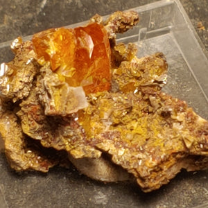 Wulfenite from Red Cloud Mine, Arizona.  2.5 cm #5236