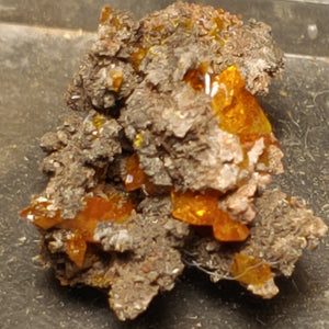 Wulfenite from Red Cloud Mine, Arizona.  2 cm #5237