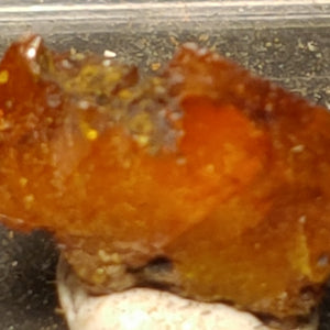 Wulfenite from Red Cloud Mine, Arizona.  1.2 cm #5238