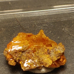 Wulfenite from Red Cloud Mine, Arizona.  1.4 cm #5243