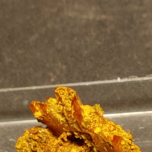 Wulfenite from Red Cloud Mine, Arizona.  1.8 cm #5246