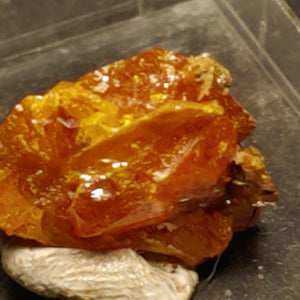 Wulfenite from Red Cloud Mine, Arizona.  1.5 cm #5248