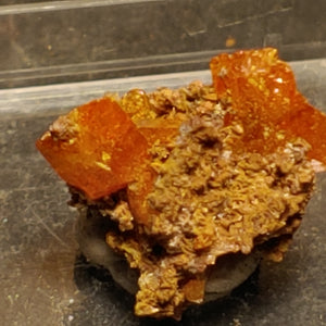 Wulfenite from Red Cloud Mine, Arizona.  1.4 cm #5249