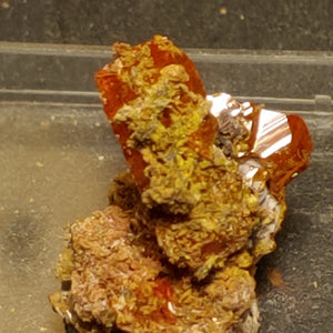 Wulfenite from Red Cloud Mine, Arizona.  2 cm #5253