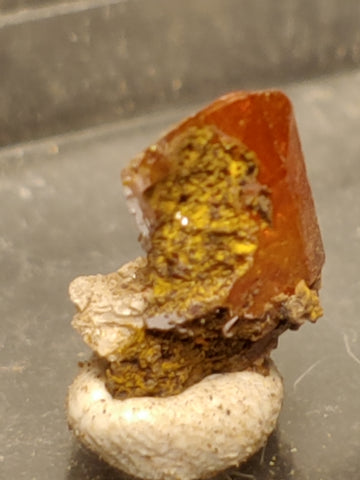 Wulfenite from Red Cloud Mine, Arizona.  1 cm #5254