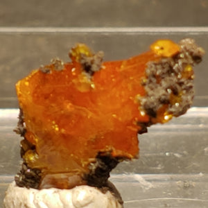 Wulfenite from Red Cloud Mine, Arizona.  1.1 cm #5256