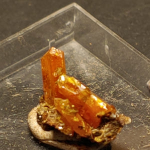 Wulfenite from Red Cloud Mine, Arizona.  1.2 cm #5257