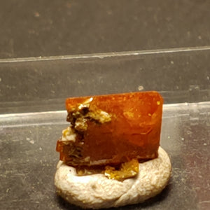 Wulfenite from Red Cloud Mine, Arizona.  0.8 cm #5258