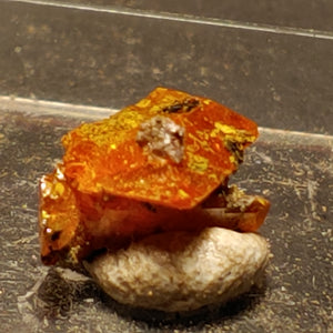 Wulfenite from Red Cloud Mine, Arizona.  1.1 cm #5259