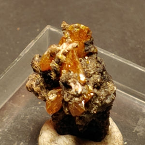 Wulfenite from Red Cloud Mine, Arizona.  1.4 cm #5260