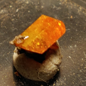 Wulfenite from Red Cloud Mine, Arizona.  0.7 cm #5261