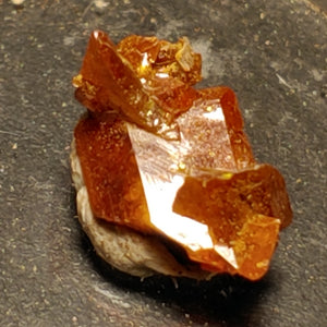 Wulfenite from Red Cloud Mine, Arizona.  1.6 cm #5264