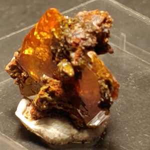 Wulfenite from Red Cloud Mine, Arizona.  2.4 cm #5267