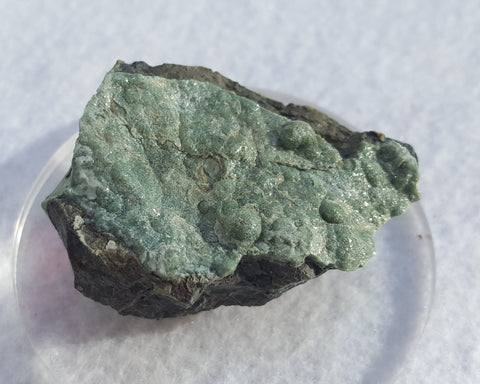 Lizardite, Monte de tre Abati, Coli, Piacenza Province, Emilia-Romagna, Italy. Stock #17000sl